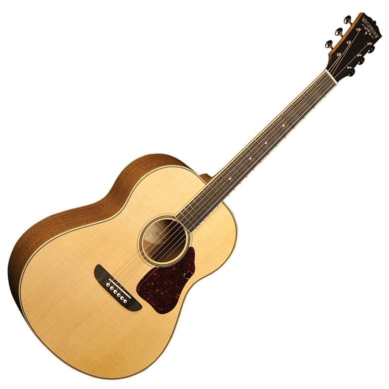 Washburn anniversary acoustic deals guitar