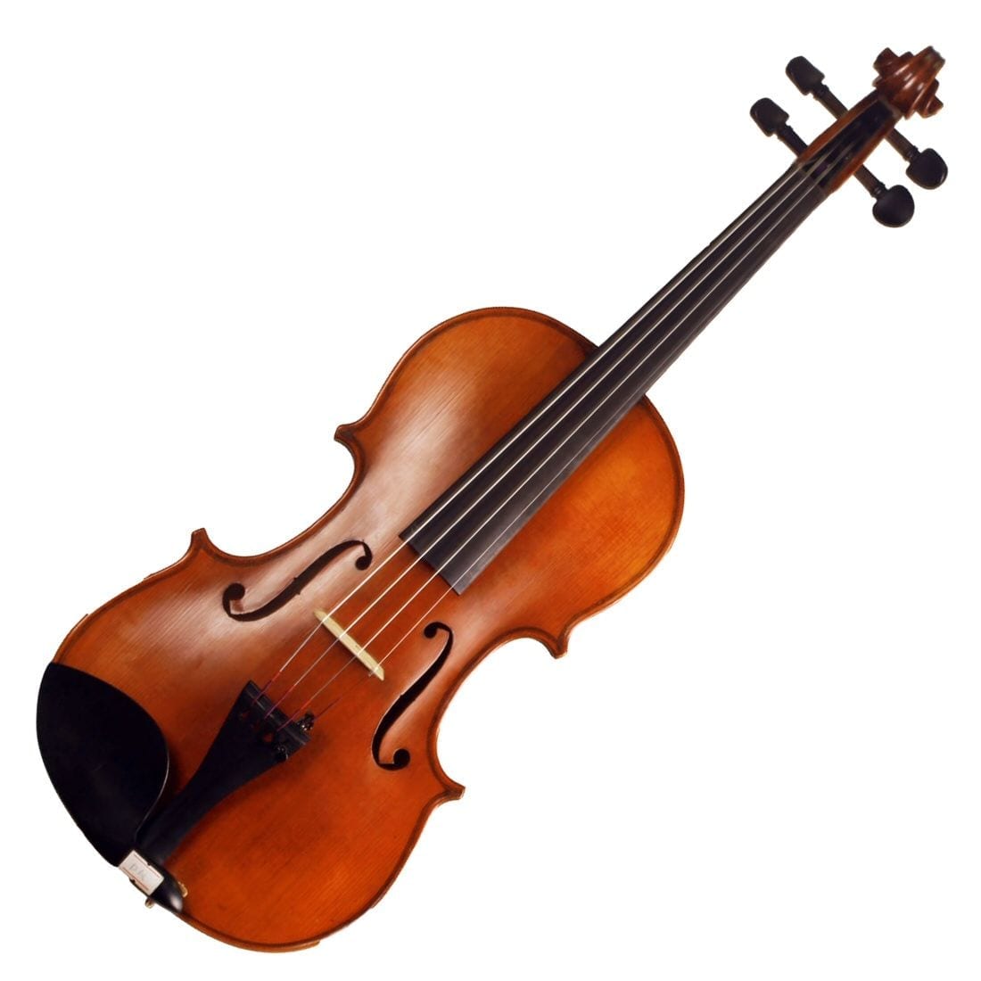 Paganini Student Violin PIPERS Wollongong Music