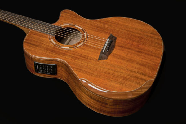 Washburn Comfort G55CE KOA Body